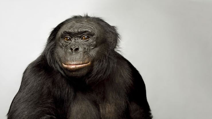 file77yi0w3l5iq1fxvrjicu