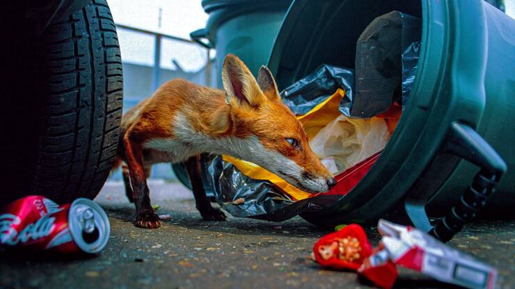 file7721esnl5lk10h0vj6z4