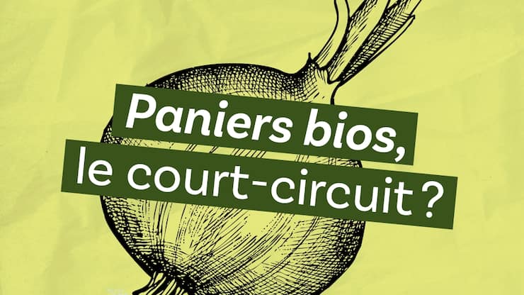 Paniers bio, le court-circuit?, épisode 6 du podcast «Le ver(t) dans l’assiette?»