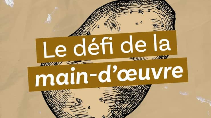«Le défi de la main-d'œuvre», huitième épisode du podcast «Le ver(t) dans l’assiette?»