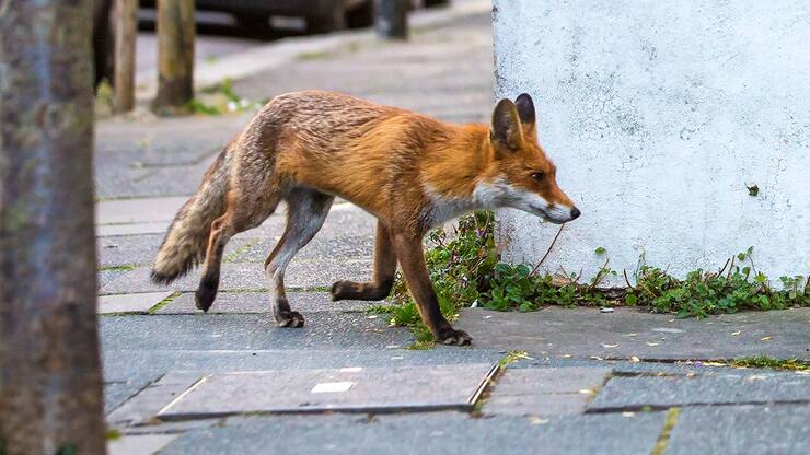 file7338iuzh9mqz2witd3c