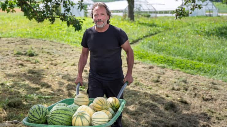 Les fruits de son travail: Marcel Foffa, de la ferme bio Bio-Tisch, pousse sa brouette pleine de melons et de pastèques maison.