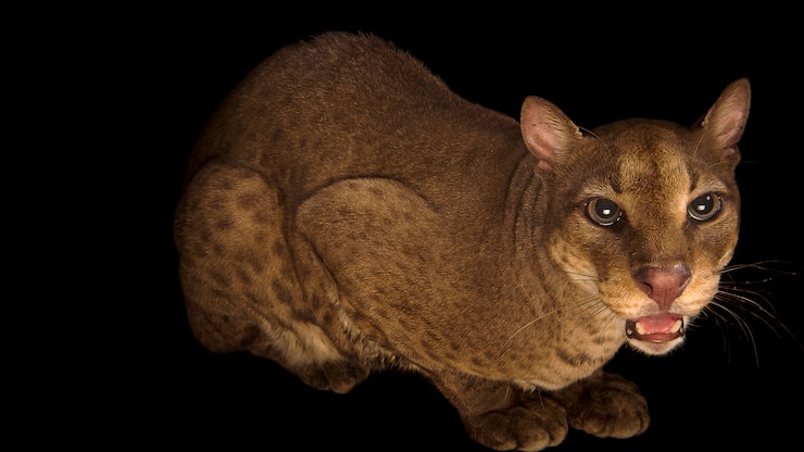 file76xf5ki684h1755dn5i9