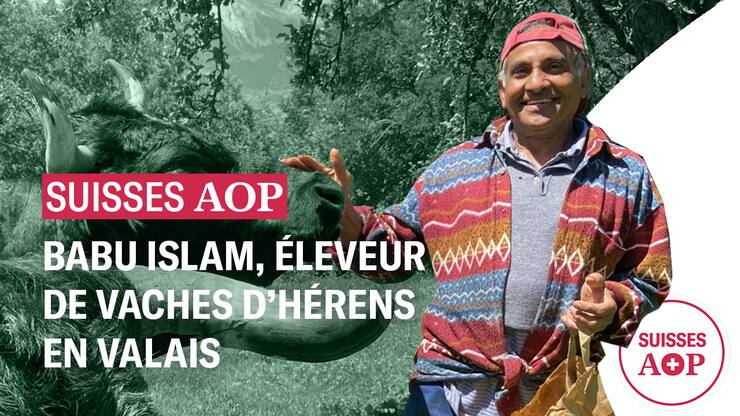 Vignette SUISSES AOP EP1