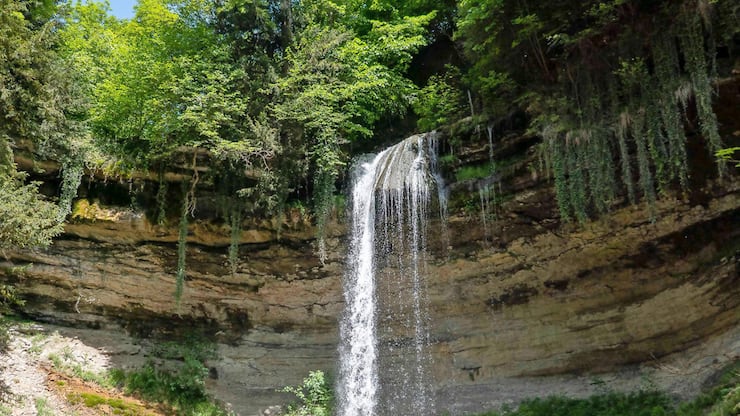 file7avsp49xw4212pigd9yr