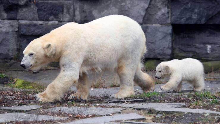 file74mrriobs5w7sh8p53f