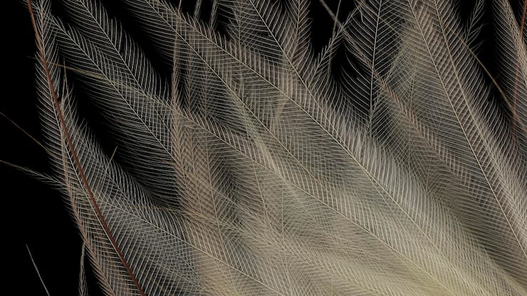 file74g22itlxo85d8nn9ry