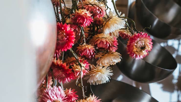 Guirlande de fleurs séchées