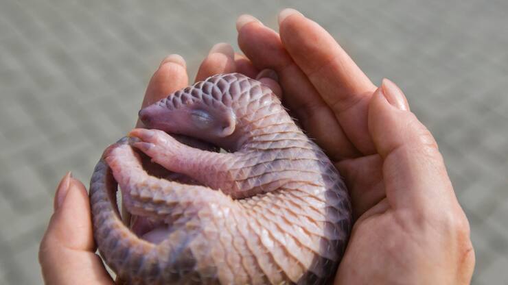 file75595m95zd21bfd5f75y