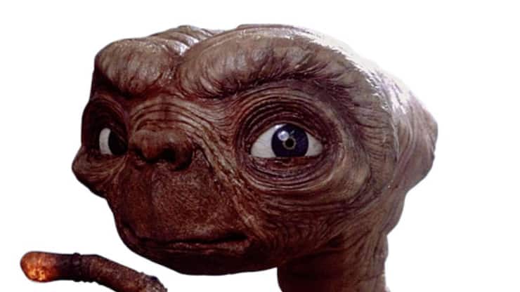 file79z0z5qnlivsvkiydem