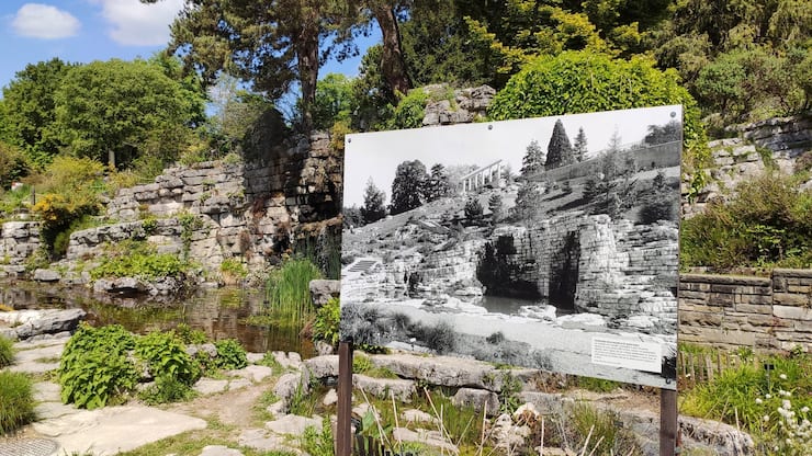 L’exposition «Vert: ville et végétal en transition», au Musée et Jardins botaniques de Lausanne