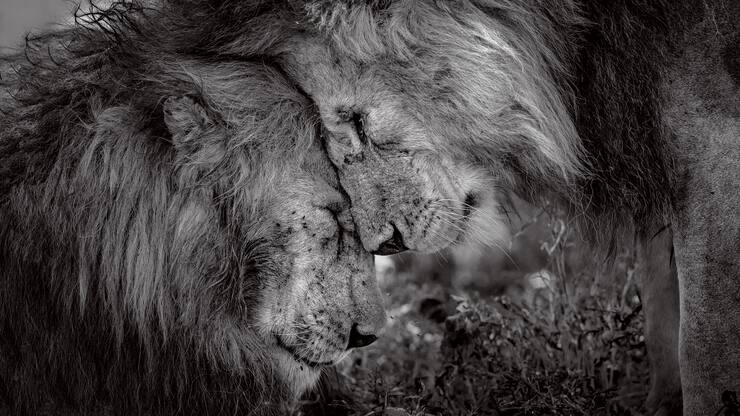 file78hl0rk1utk3hl2nj7u