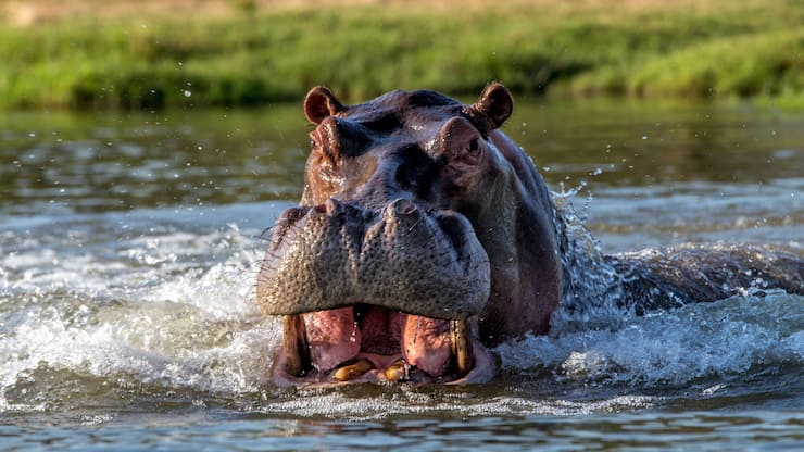 file75muoqijqjm5pu2g7o7