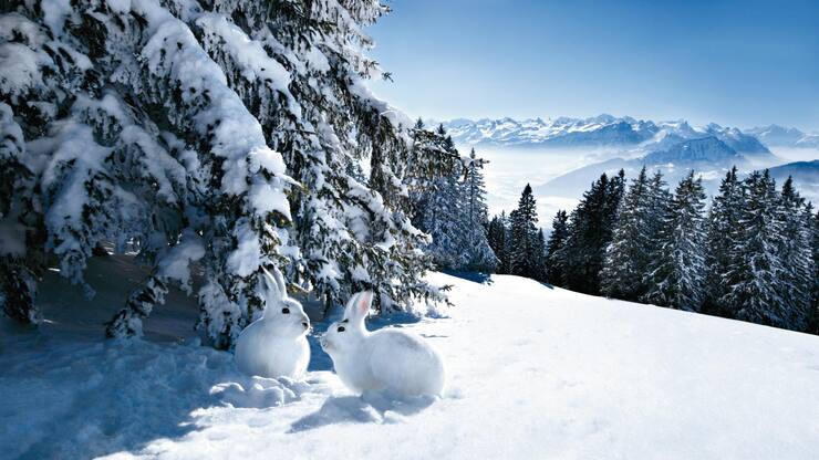 file73kp715i4yd13853kn9j