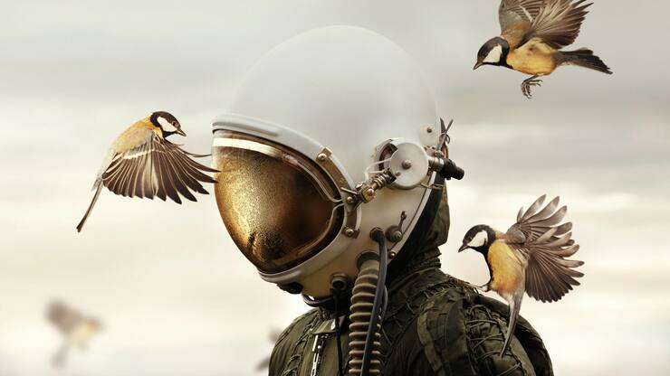 file749cmuy1i3olojv188