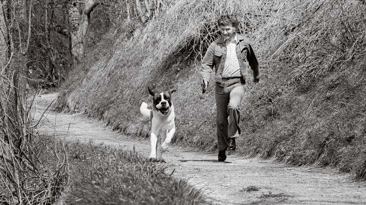 file74uyx30hgi11h30u8n6q