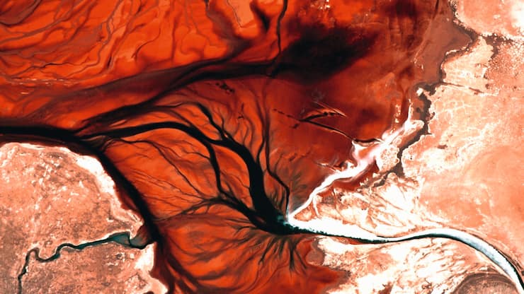 file74594r7kf6b1bkhvibtz