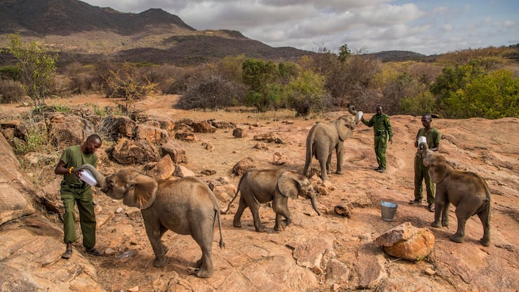 file748v67fao7sloh7tcxm