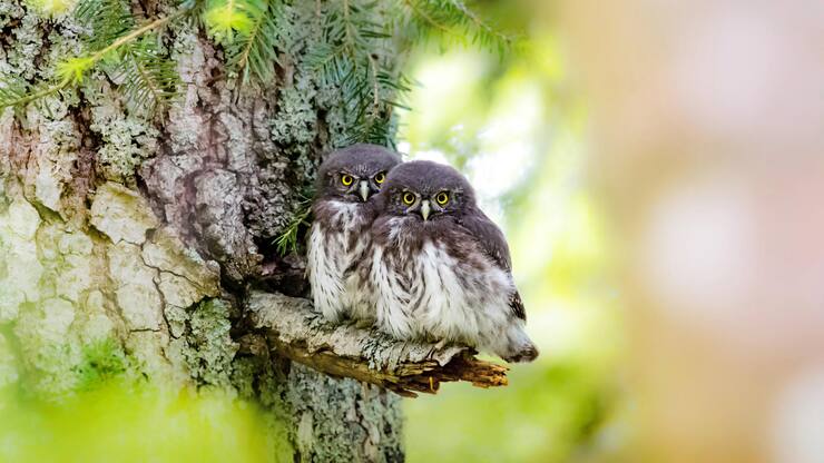 file74rdjnbfkzcdrfirf9l