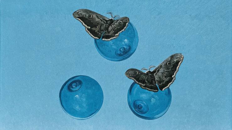 Marion Adnams, «Emperor Moths/Thunder On the Left», 1963