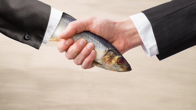 file79vu0erckyr7vcgm93