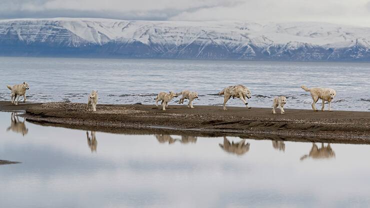 file79trf0gtgconi1dnohv