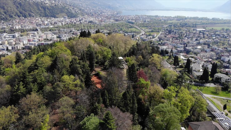 file75n6u992rdid5sn919x