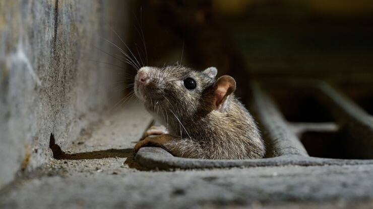 file791mzwprvg41llv3cilk