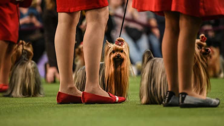 file79o9a6p26c61ejxc6d1f