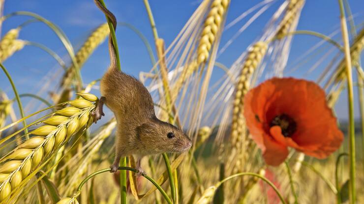 file71nd3nsnkxedzozce1h