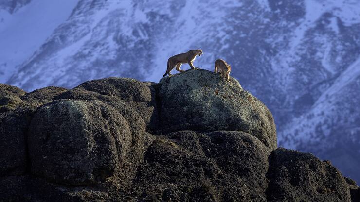 file78fx3kxmuw61hz213inc