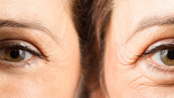 file786pqro2jbr1m9y7f2xr