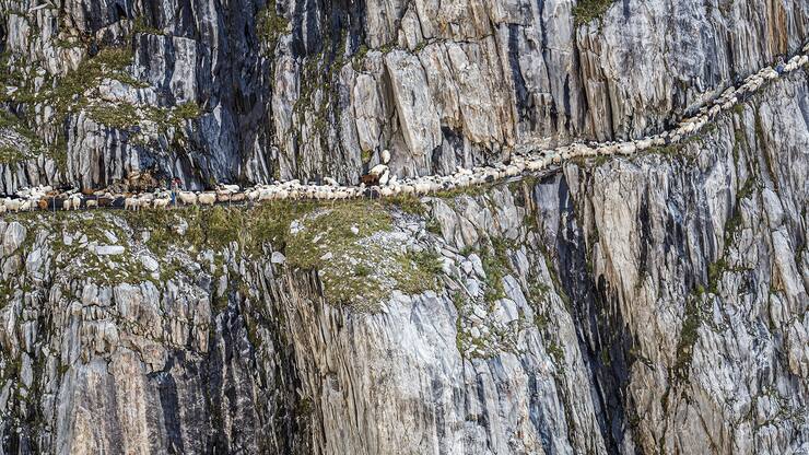 file76vh1sjj4k0vsrwj5i4