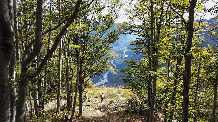 Forêt de Lodano Unesco