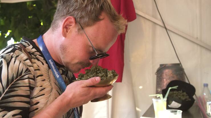 file71hbknq7fnandeh0pn