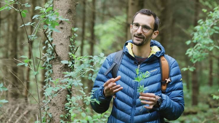 file75fk5ph8o4jxz4lg94e