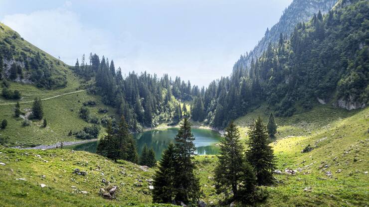 file7boiughwebpnnq4c7rl