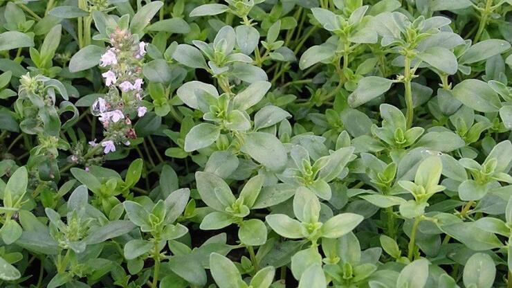 file7a1f947sc0zgiaxkf94