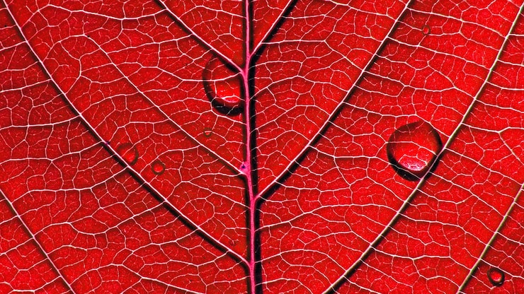 file7djcq3jsfy9e2mc1a5p