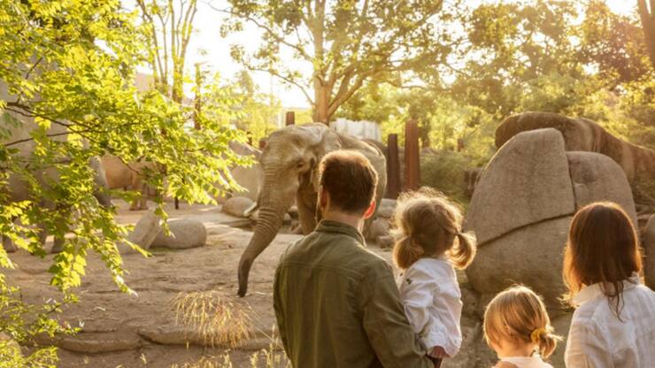 file7bjl7wxacewfnwya79o