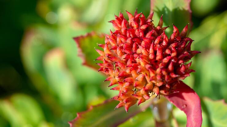 file7a8maux42etxh1og7pz