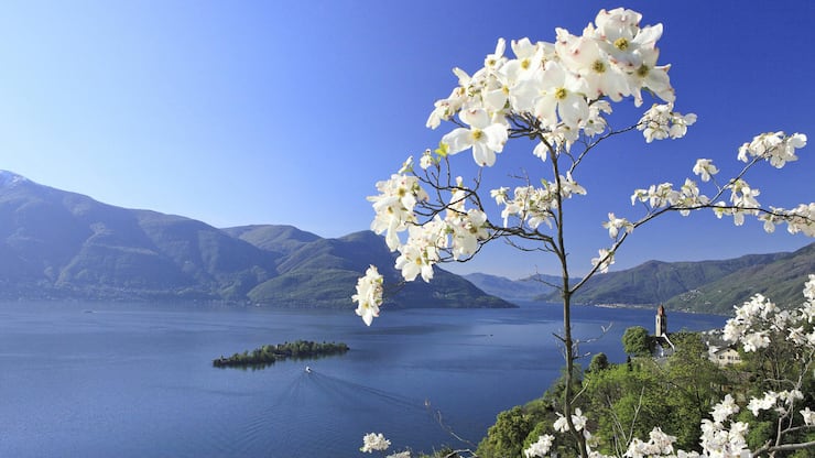 file752qq5vowhh19sdo4a5r