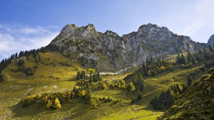 file7b2yk0edmjn7s42capy