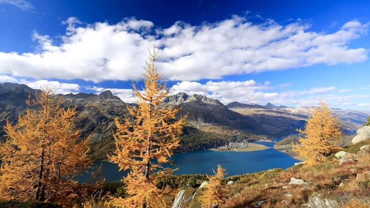 file7aybodf7nwm4lic6k45