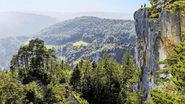 file7bkly4upy9t1mi86fab4