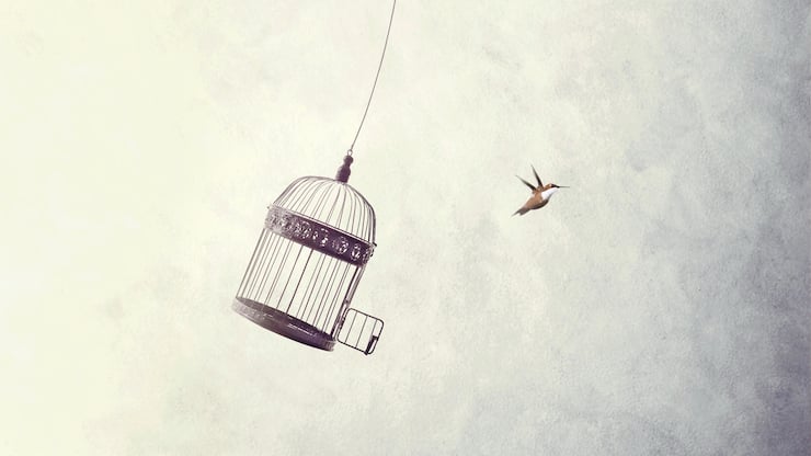 file7bklzor0ytx111h87abs