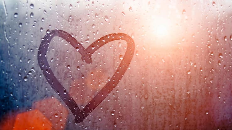 file7d1cl373b5xyms303fr