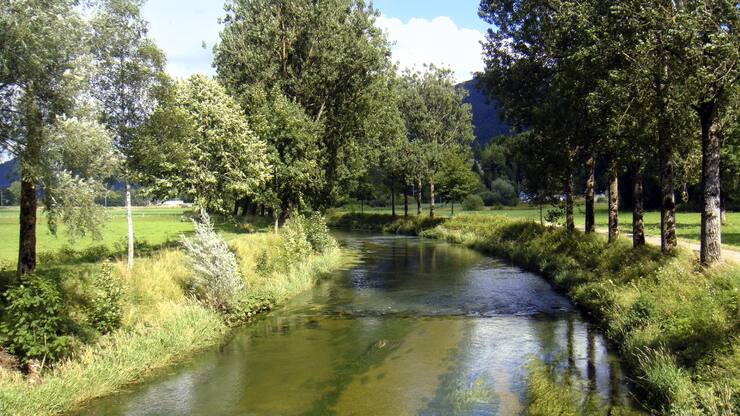 file7ddbtqyj50k1d6hu1ays