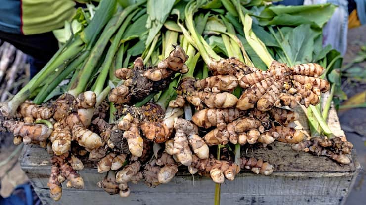 file7cc6g7izlliujjt2inx