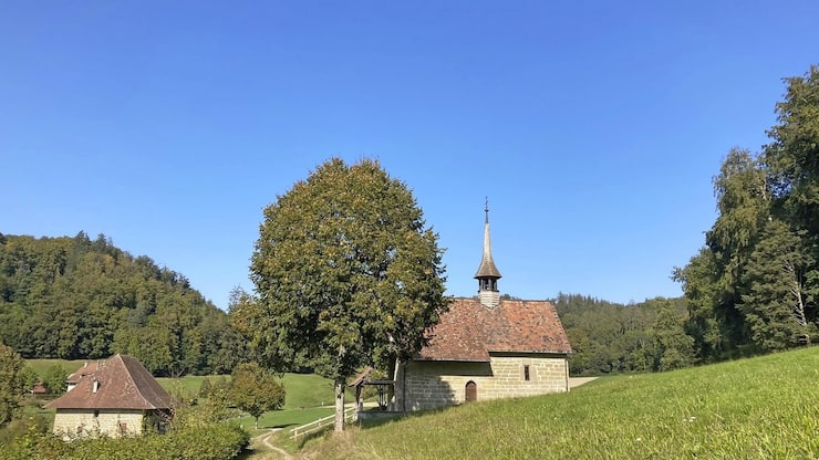 file7cgtxeg0bs63vtbb2tw